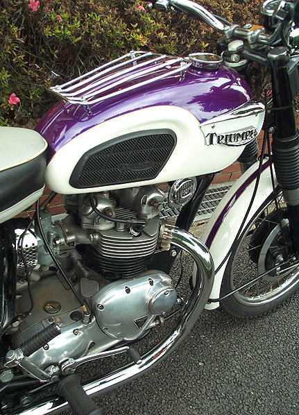 Triumph T100 k500l Tiger