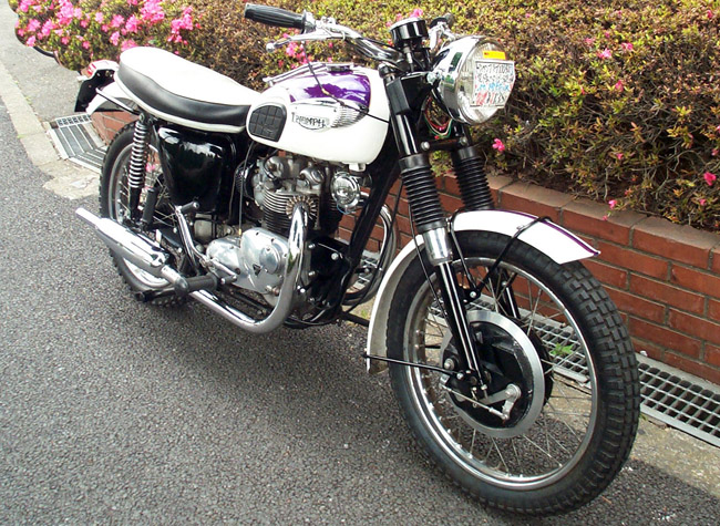 Triumph T100 k500l Tiger