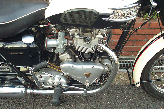  Triumph T110k650l Tiger