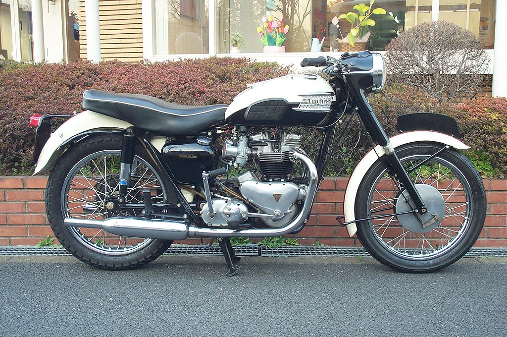  Triumph T110k650l Tiger