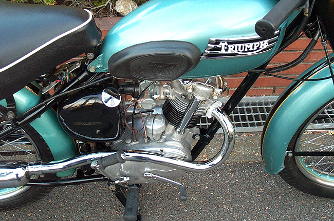 Triumph T20@TigerCub 