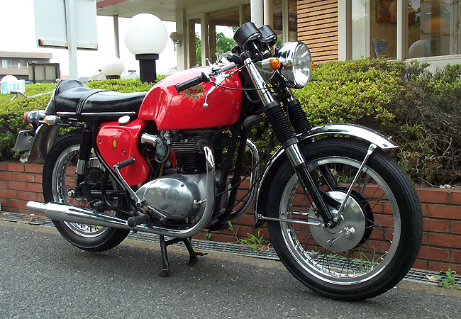 BSA A65k650lSpit-fire