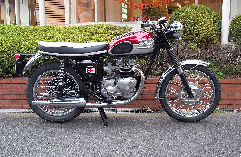 Triumph  s100k250lTiger