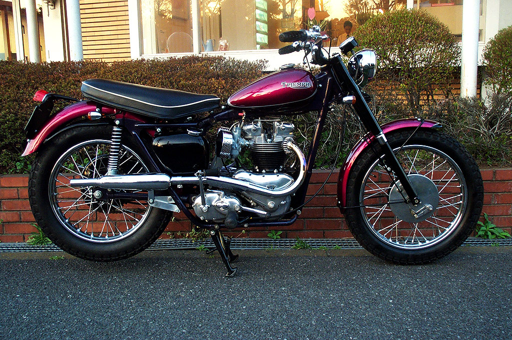 Triumph  6sk650l Tracker