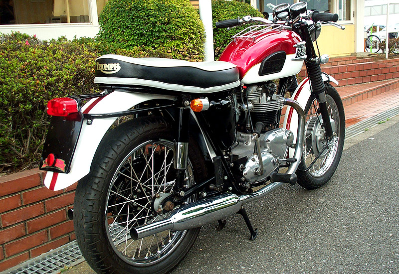 Triumph TR-6kTrophyl