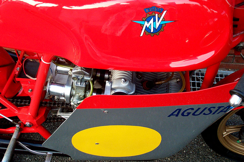 MV AGUSTA/MAGNI 861ktJEt[T[/ĐVԁl