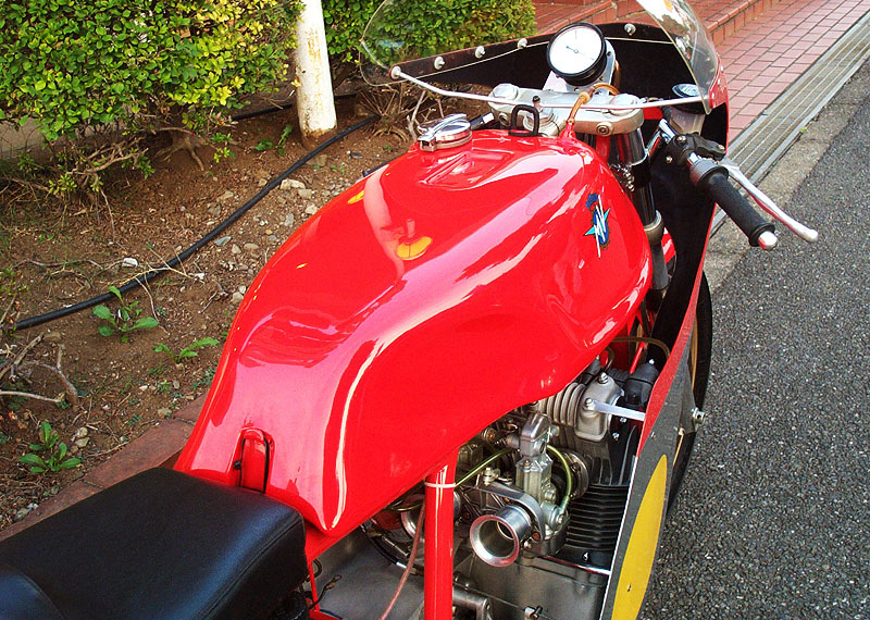 MV AGUSTA/MAGNI 861ktJEt[T[/ĐVԁl