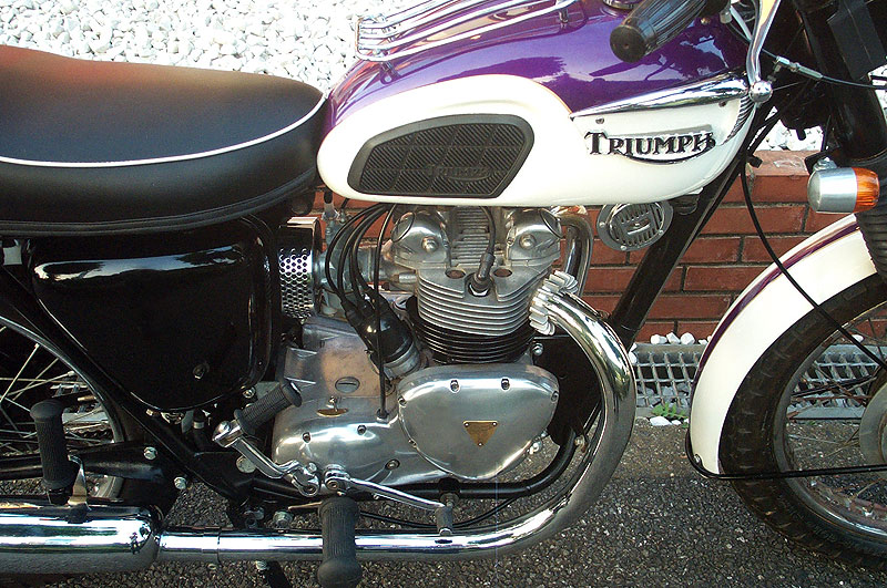 Triumph T100 Tigerk500l
