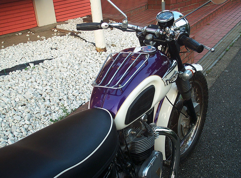 Triumph T100 Tigerk500l