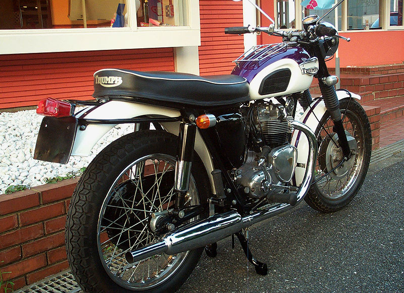 Triumph T100 Tigerk500l