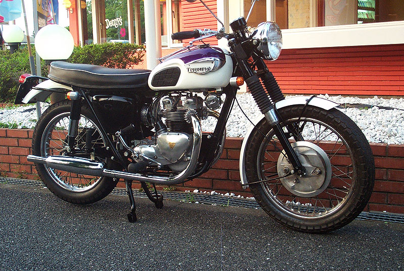 Triumph T100 Tigerk500l