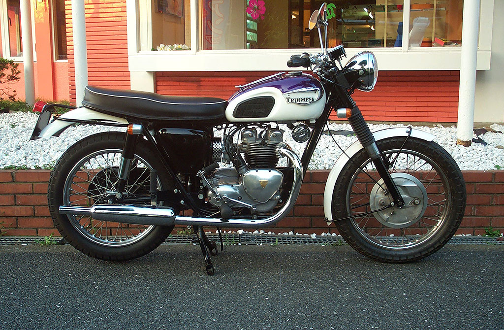 Triumph T100 Tigerk500l