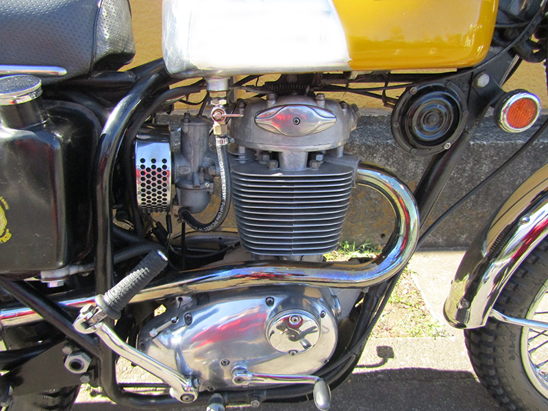 BSA rN^[B441