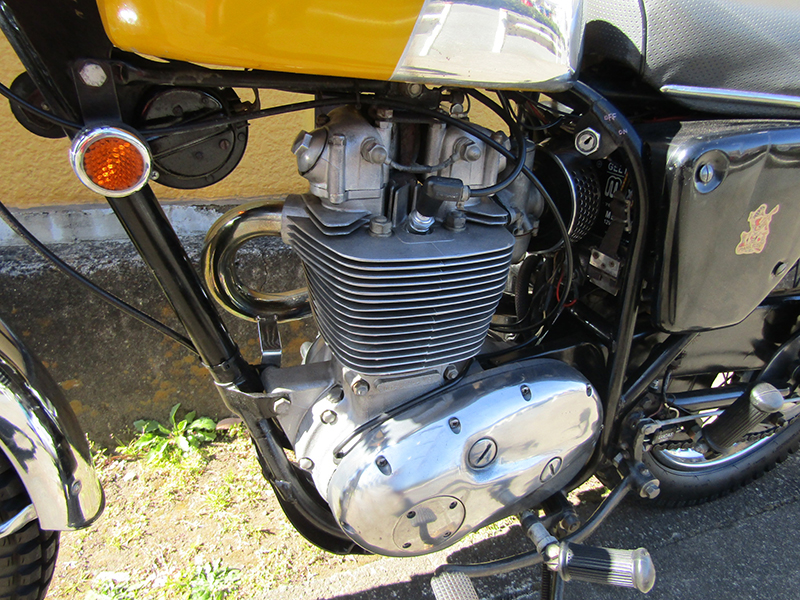 BSA rN^[B441