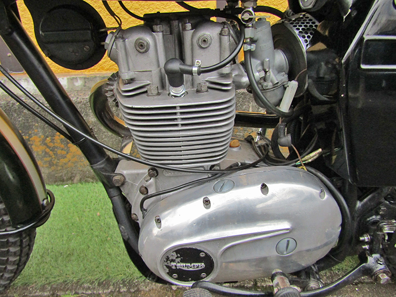 Triumph �s�q�Q�T�v�k250�l