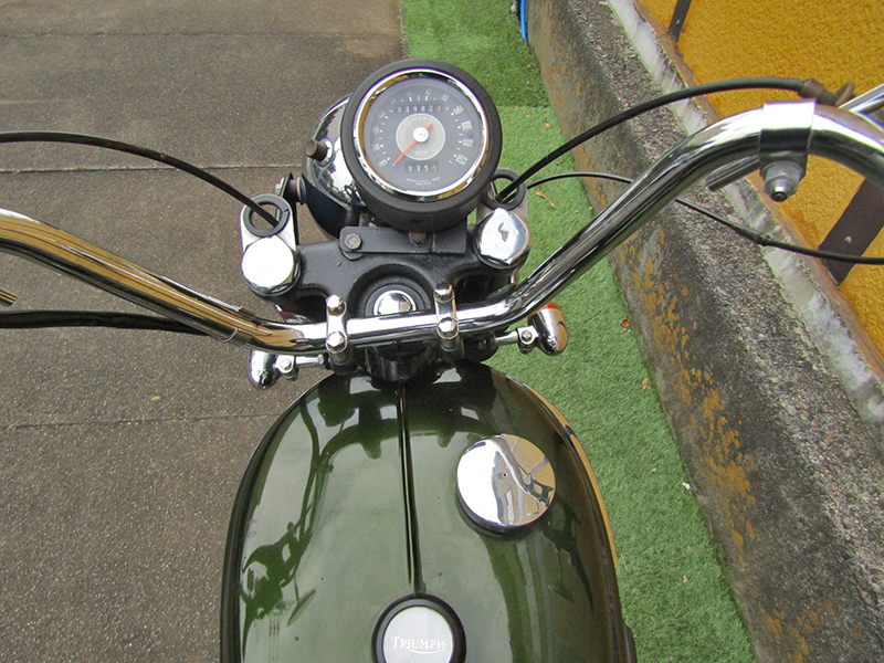 Triumph �s�q�Q�T�v�k250�l