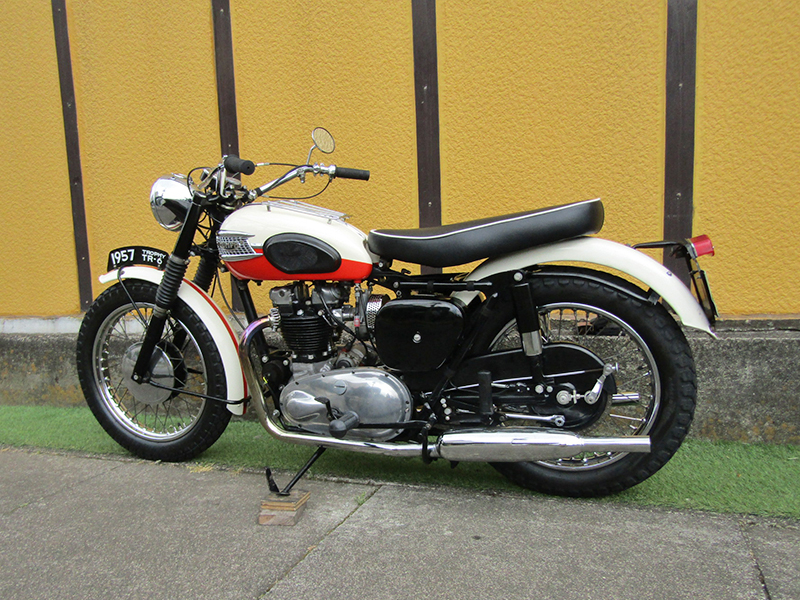 Triumph�@�s�q-�U�k650�l