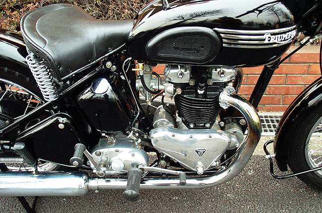 Triumph 6s Springhubk650l